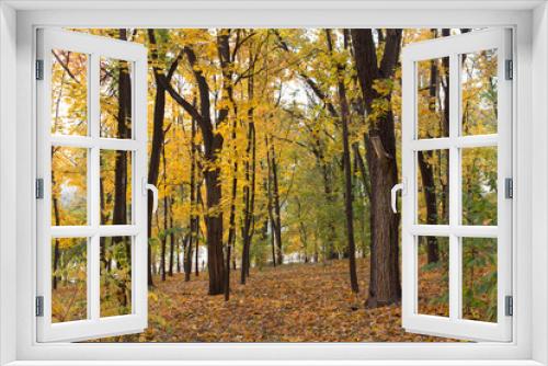 Fototapeta Naklejka Na Ścianę Okno 3D - Beautiful autumn view in parks of Chisinau.