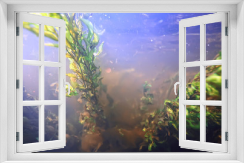 Fototapeta Naklejka Na Ścianę Okno 3D - rays of light underwater fresh lake, abstract background nature landscape sun water