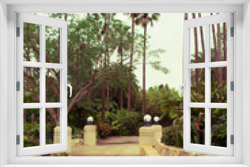 Fototapeta Naklejka Na Ścianę Okno 3D - Tropical garden in Orlando Florida USA	