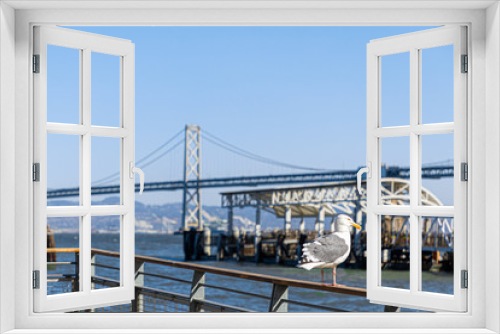 Fototapeta Naklejka Na Ścianę Okno 3D - Seagull at the Port of San Francisco (Selectiv focus, bokeh)