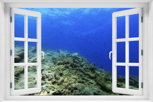 Fototapeta Naklejka Na Ścianę Okno 3D - Underwater Scene Background, Diving