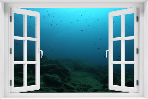 Fototapeta Naklejka Na Ścianę Okno 3D - Underwater Scene Background, Diving