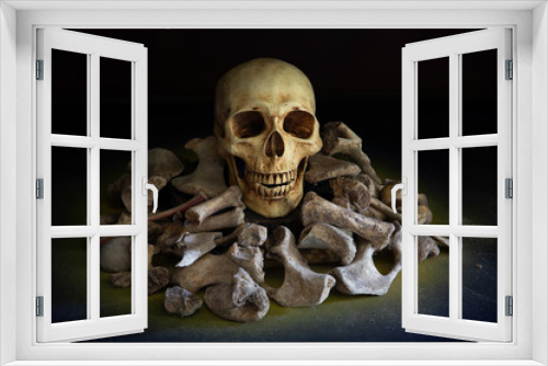 Fototapeta Naklejka Na Ścianę Okno 3D - The skull on pile of bone on black background