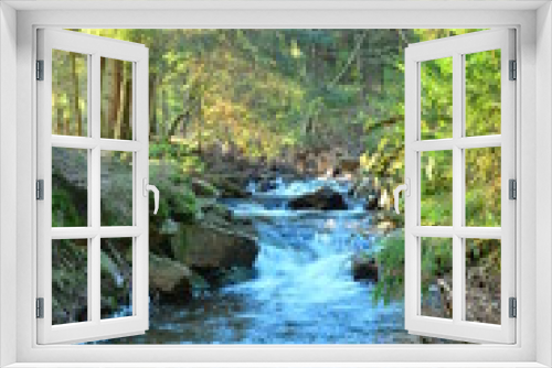 Fototapeta Naklejka Na Ścianę Okno 3D - Im Wald  Forrest