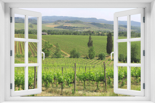 Fototapeta Naklejka Na Ścianę Okno 3D - Weinanbau in Hügellandschaft, Toskana, Italien, Europa, Panorama