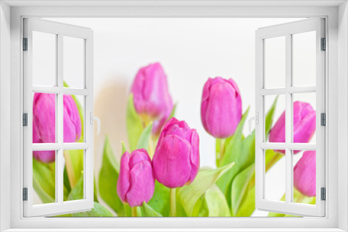 Fototapeta Naklejka Na Ścianę Okno 3D - violet colored tulip flowers bouquet on white background close up