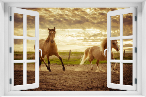 Fototapeta Naklejka Na Ścianę Okno 3D - konie na pastwisku 