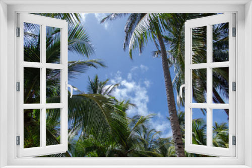 Fototapeta Naklejka Na Ścianę Okno 3D - Palmeras en el caribe, con cielo de fondo