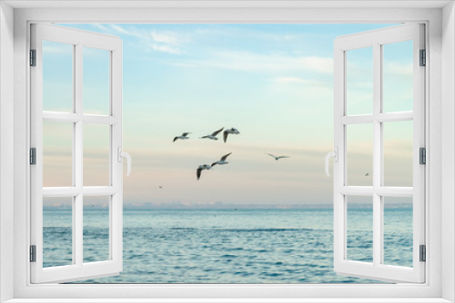 Fototapeta Naklejka Na Ścianę Okno 3D - seagulls fly over the sea sunny weather