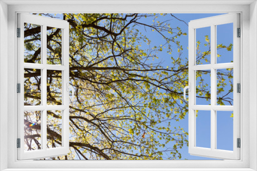 Fototapeta Naklejka Na Ścianę Okno 3D - real nature