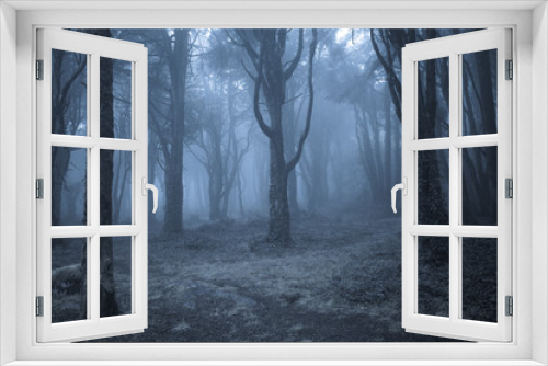 Fototapeta Naklejka Na Ścianę Okno 3D - Spooky misty foggy dark forest at night