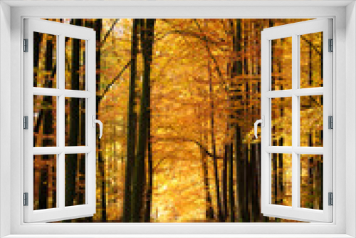 Fototapeta Naklejka Na Ścianę Okno 3D - Jesienna buczyna
