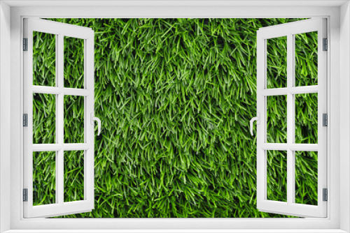 Fototapeta Naklejka Na Ścianę Okno 3D - Green grass lawn, top view. Natural background, copy space.