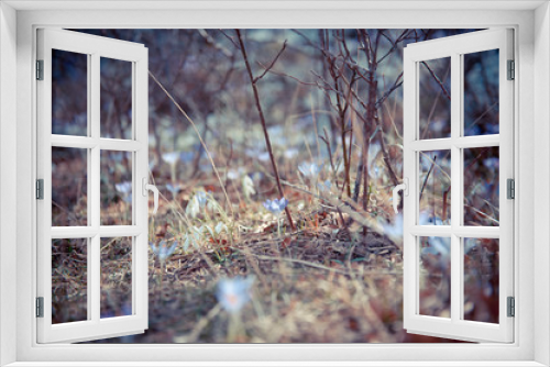 Fototapeta Naklejka Na Ścianę Okno 3D - Melancholy landscape