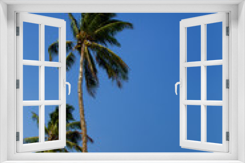 Fototapeta Naklejka Na Ścianę Okno 3D - palm trees against blue sky