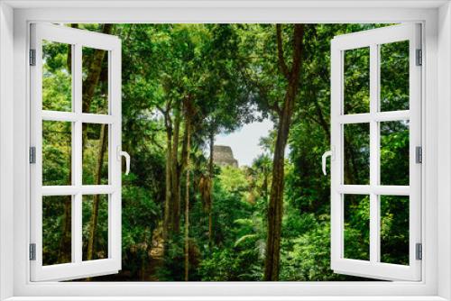 Fototapeta Naklejka Na Ścianę Okno 3D - Tikal Archaeological National Park.