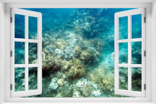 Fototapeta Naklejka Na Ścianę Okno 3D - View of the coral reef