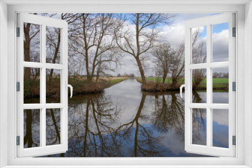 Fototapeta Naklejka Na Ścianę Okno 3D - Bare trees that are reflected in a pond and a ditch in a meadow landscape