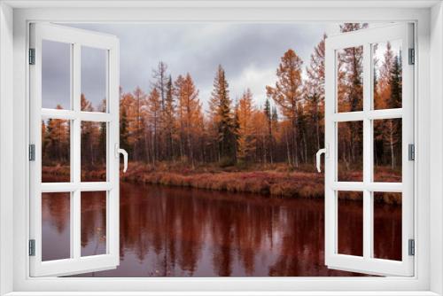 Fototapeta Naklejka Na Ścianę Okno 3D - Brown river slow flowing across the brown and yellow forest with reflections of pines and trees in the water. Autumn on the north with dark blue sky above