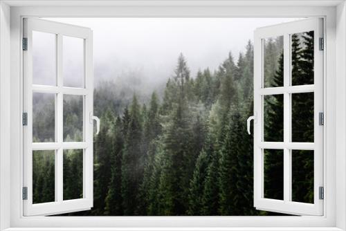 Fototapeta Naklejka Na Ścianę Okno 3D - Fark fir forest with fog