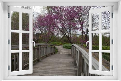 Fototapeta Naklejka Na Ścianę Okno 3D - nature walk on path in the woods going over a bridge, the landscape is all the trees in full bloom on a spring day 