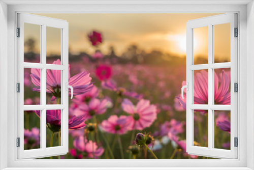 Fototapeta Naklejka Na Ścianę Okno 3D - Flower field in summer.Scenery view of beautiful cosmos flower field in morning.Pink flowers field landscape
