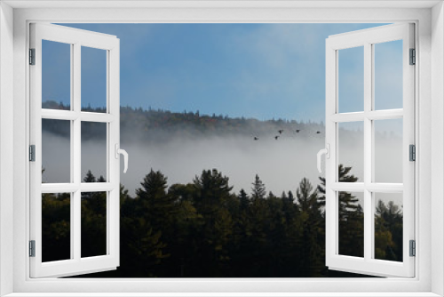 Fototapeta Naklejka Na Ścianę Okno 3D - Morning fog in forest with birds in Mont-Tremblant National Park, Quebec