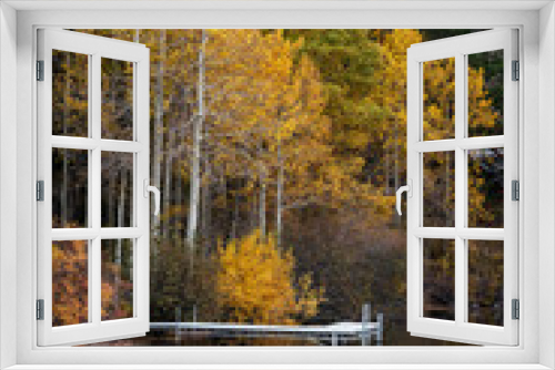 Fototapeta Naklejka Na Ścianę Okno 3D - Fall Aspen Reflecting on Lake
