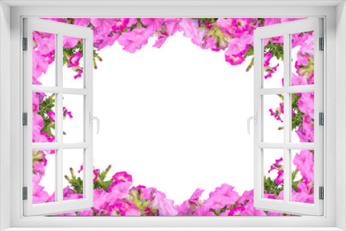 Fototapeta Naklejka Na Ścianę Okno 3D - petunias on a white background