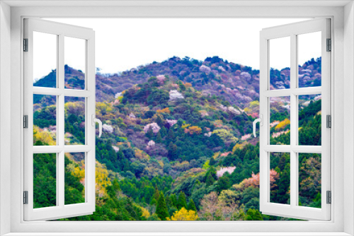 Fototapeta Naklejka Na Ścianę Okno 3D - 霊山の山桜