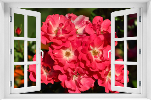 Fototapeta Naklejka Na Ścianę Okno 3D - Beautiful spring flowers