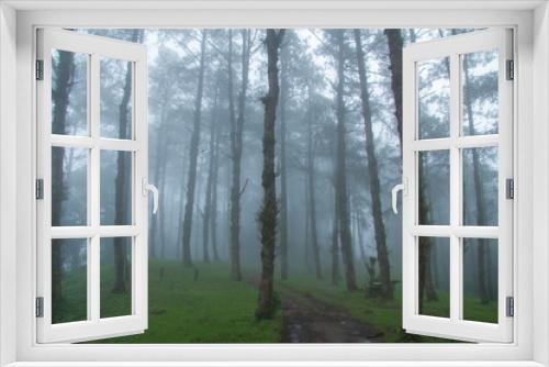 Fototapeta Naklejka Na Ścianę Okno 3D - forest in fog