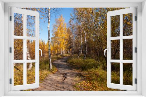 Fototapeta Naklejka Na Ścianę Okno 3D - Autumn soft landsсape with forest in green, yellow and brown colors. Trees of birch, larch, spruce, fir, pine and cedar. Gold autumn wood