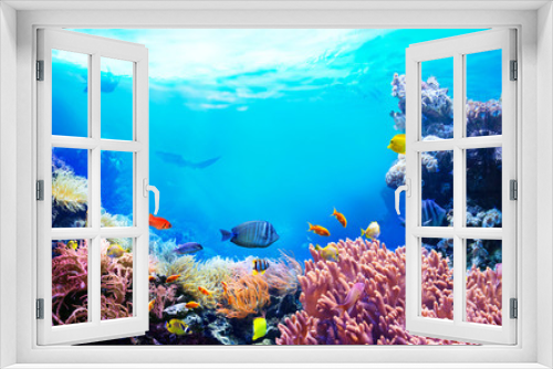 Fototapeta Naklejka Na Ścianę Okno 3D - Animals of the underwater sea world. Ecosystem. Colorful tropical fish. Life in the coral reef. 