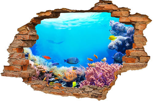 Animals of the underwater sea world. Ecosystem. Colorful tropical fish. Life in the coral reef. 