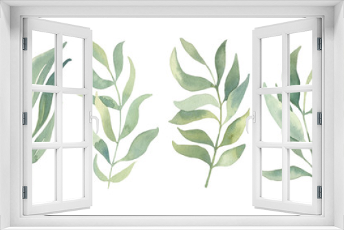 Fototapeta Naklejka Na Ścianę Okno 3D - Watercolor floral illustration collection - green leaf set, for wedding stationary, wallpapers, greetings,  background. Watercolor  Eucalyptus, olive, green leaves. 