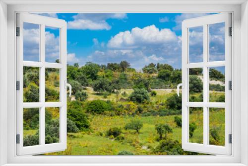 Fototapeta Naklejka Na Ścianę Okno 3D - Cyprus landscape with olive grove in front and a background of mountains and blue cloudy sky.