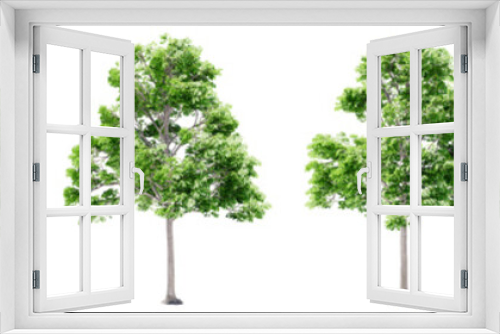 Fototapeta Naklejka Na Ścianę Okno 3D - Set or collection of green oak trees isolated on white background. Concept or conceptual 3d illustration for nature, ecology and conservation, strength and endurance, force and life