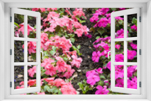 Fototapeta Naklejka Na Ścianę Okno 3D - Flowers in park
