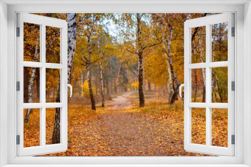 Fototapeta Naklejka Na Ścianę Okno 3D - Autumn landscape - birch forest.