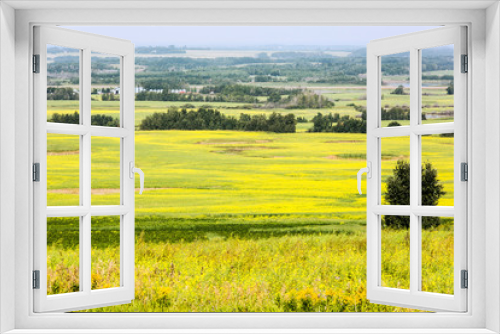 Fototapeta Naklejka Na Ścianę Okno 3D - Prairie Landscape