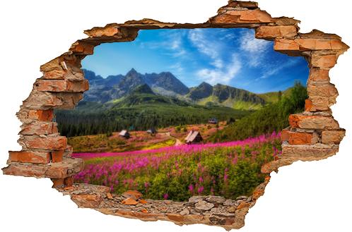 Hala Gąsienicowa w Tatrach usłana kwiatami wierzbówki kiprzycy