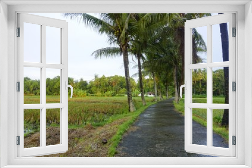Fototapeta Naklejka Na Ścianę Okno 3D - the atmosphere of the road in the middle of rice fields in the countryside