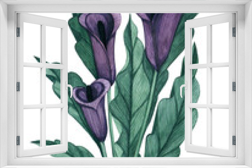 Fototapeta Naklejka Na Ścianę Okno 3D - violet flower on white background