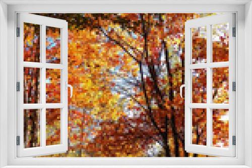Fototapeta Naklejka Na Ścianę Okno 3D - Vertical photo of a colorful forest full of vibrant colors in the bright sunlight of the Canadian autumn.
