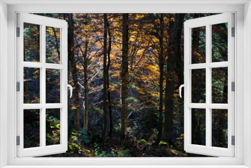 Fototapeta Naklejka Na Ścianę Okno 3D - autumn photo trip to Pian delle Gorre in Valle Pesio