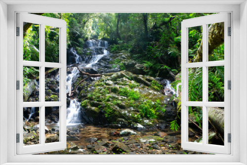 Fototapeta Naklejka Na Ścianę Okno 3D - Waterfall in world heritage tropical rainforest. 