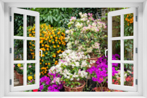 Fototapeta Naklejka Na Ścianę Okno 3D - Flower pots decorate on white wall and colorful flowers in the spring garden blossom beautiful