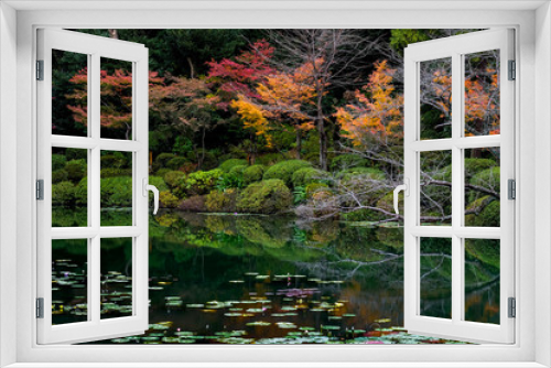 Fototapeta Naklejka Na Ścianę Okno 3D - Japanese garden in autumn 