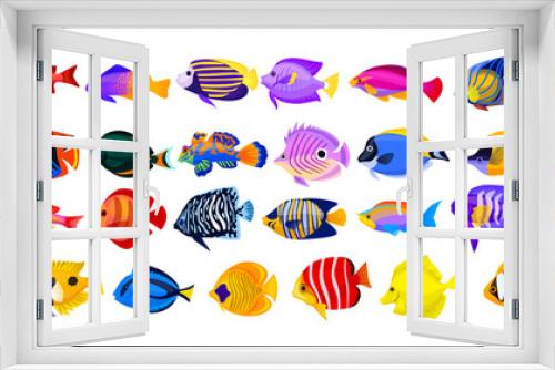 Fototapeta Naklejka Na Ścianę Okno 3D - Tropical fish vector cartoon icon. Isolated cartoon icon aquarium animals .Vector illustration tropical fish on white background.